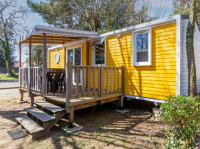 Plush Holiday Home in Saint-Jean-de-Monts with Swimming Pool